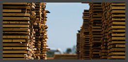 Stacked Oak Boards